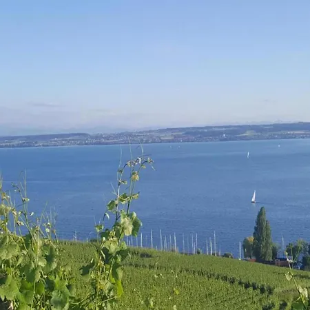 Sonniges Balkonapartment, * Ahausen (Baden-Wurttemberg)