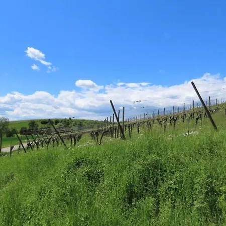 Apartment Sonniges Balkonapartment, Ahausen (Baden-Wurttemberg)