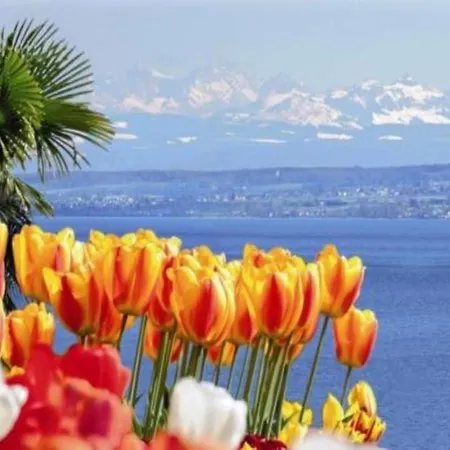 Sonniges Balkonapartment, * Ahausen (Baden-Wurttemberg)