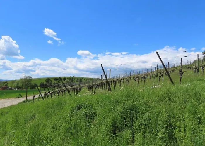 アパート Sonniges Balkonapartment, Ahausen