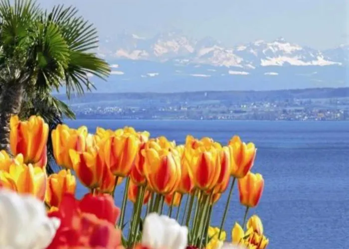 Sonniges Balkonapartment, * Ahausen