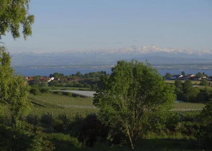 Sonniges Balkonapartment, アパート