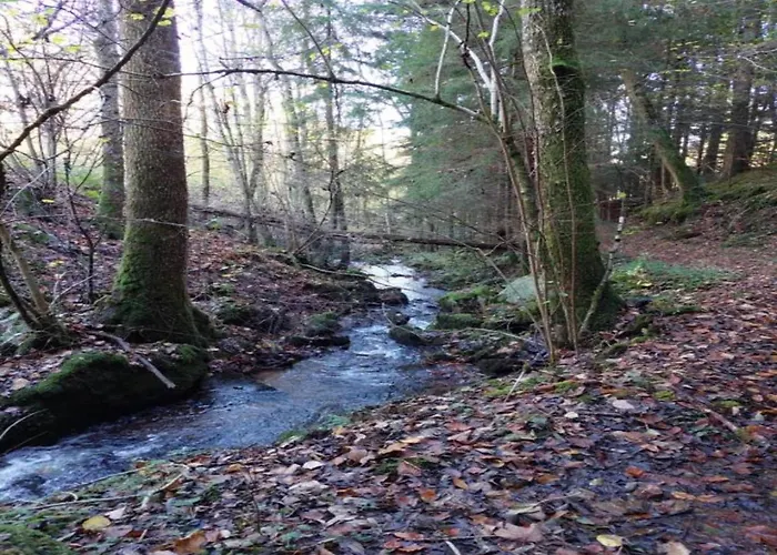 Sonniges Balkonapartment,